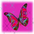 butterfly graphics