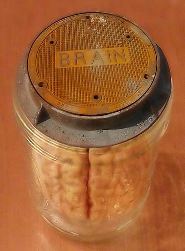 Brain jar