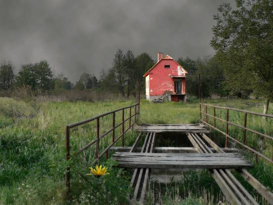 House in the Field