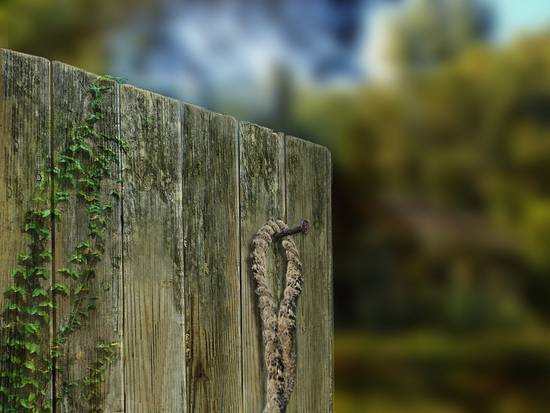 Old fence