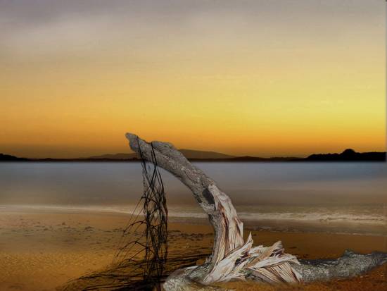 Deserted beach