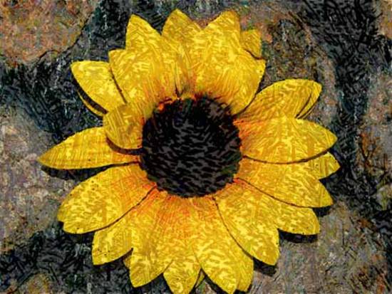 Textured Daisy