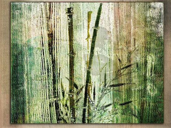 Bamboo