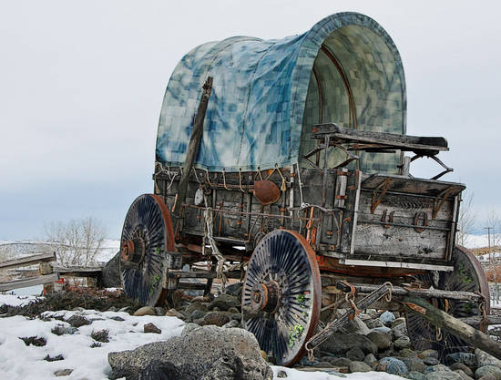 Covered Wagon