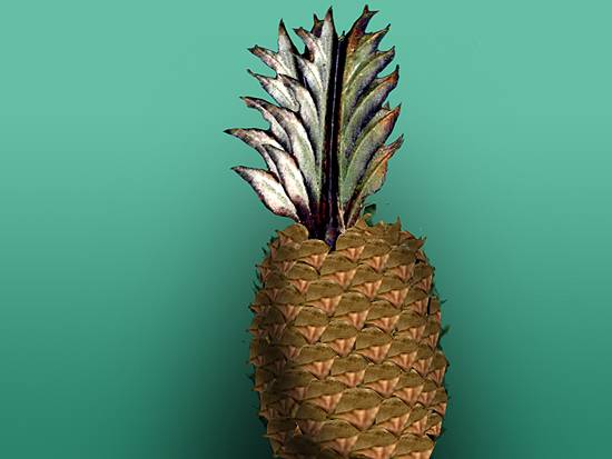 Pineapple