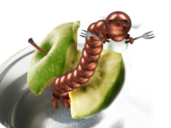 Apple worm