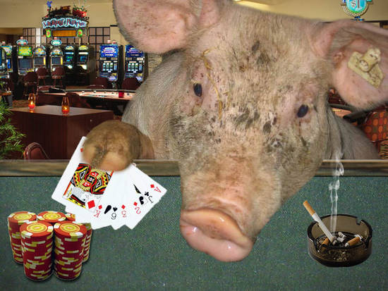 Poker Pig