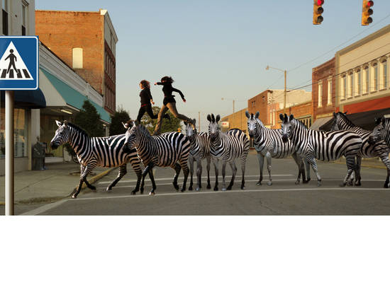 Zebra Crossing