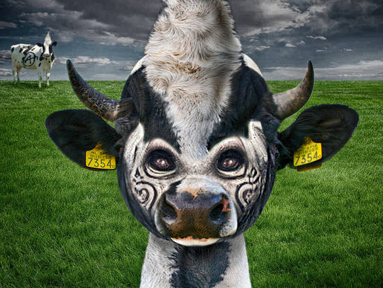 Cow Punk