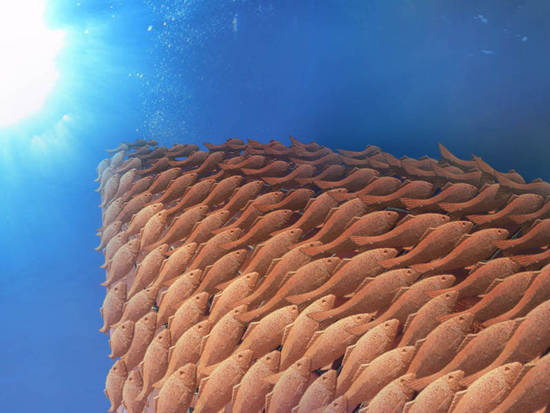 Brick-fish School