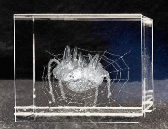 crystal spider