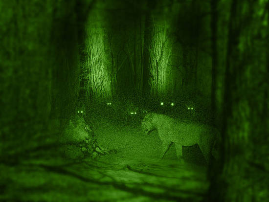 nightvision