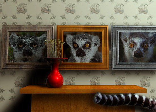 The Lemurs' Residence