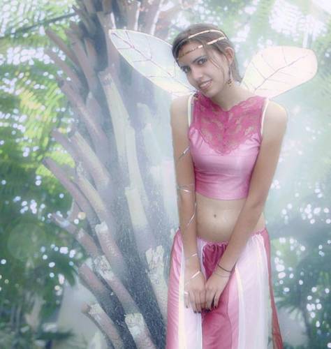 Fairy