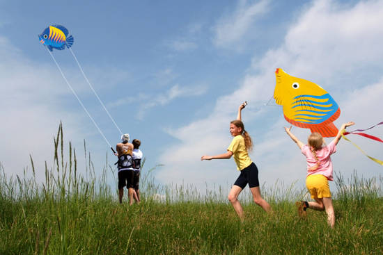 Go fly a kite