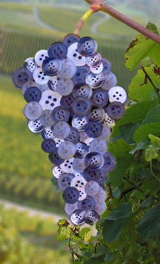 Button Berries