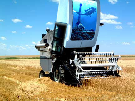 Wheat Cutting Combine