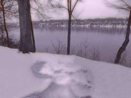 My snow angel