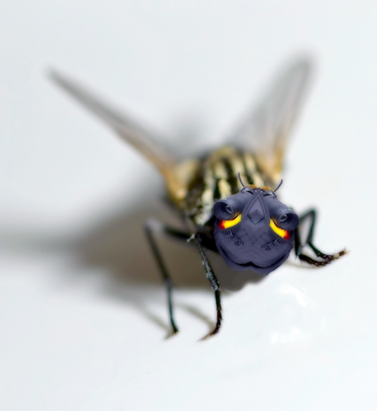 Robofly