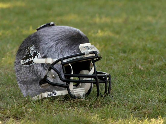 Gorilla Skin Helmet