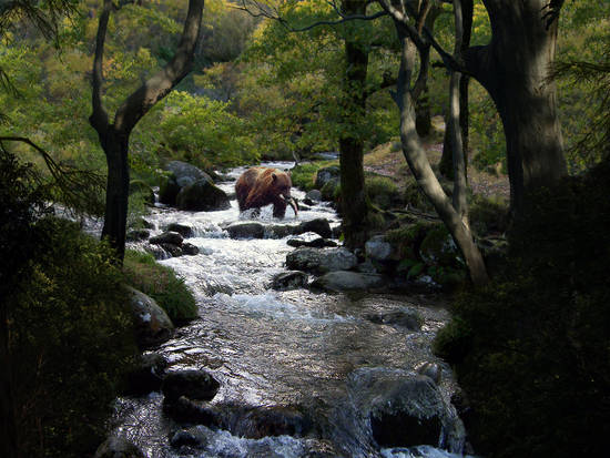 Mountain Stream (UPD)