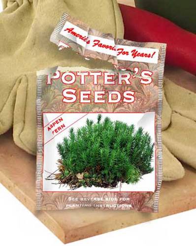 Seed Packet