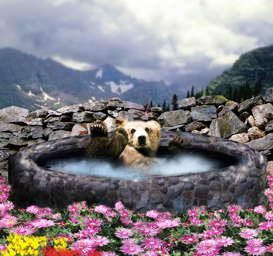 Bear Bath