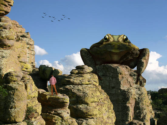 Frog Mountain