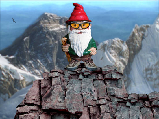  ~ Gnome Climber ~