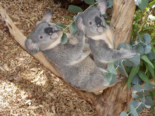 Two Lovers Relaxing