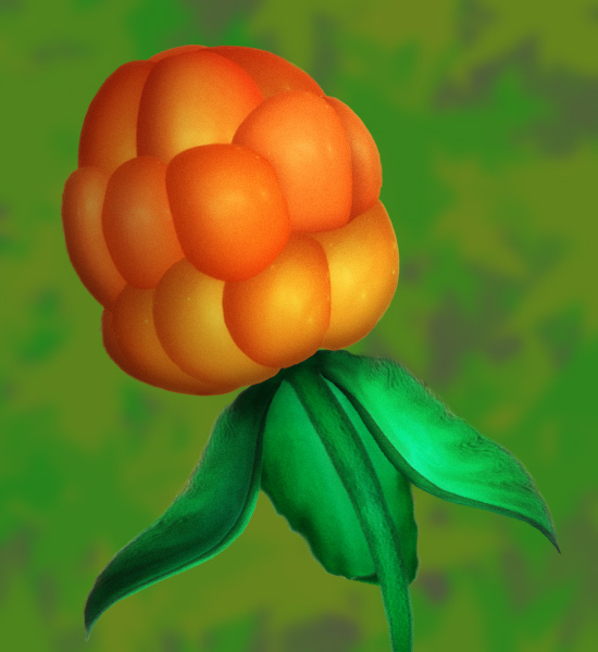 Cloudberry