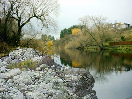 Rocky Shore