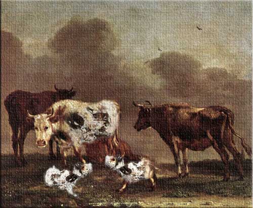 cows