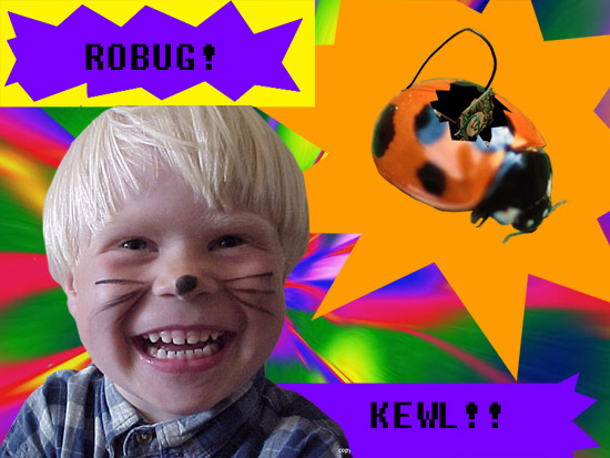 ROBUG!