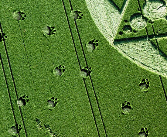 Crop tracks