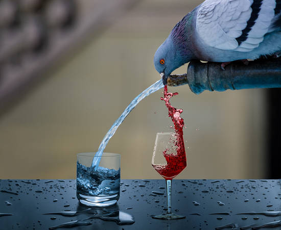 Changing water into wine