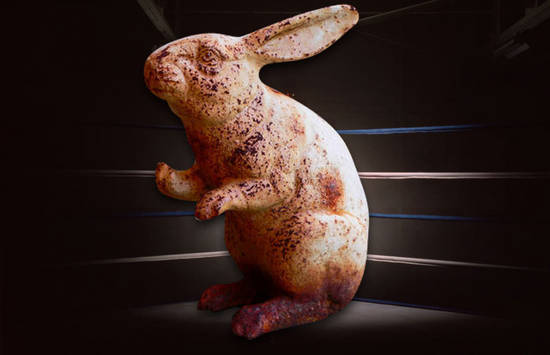 Rabbit Fighter