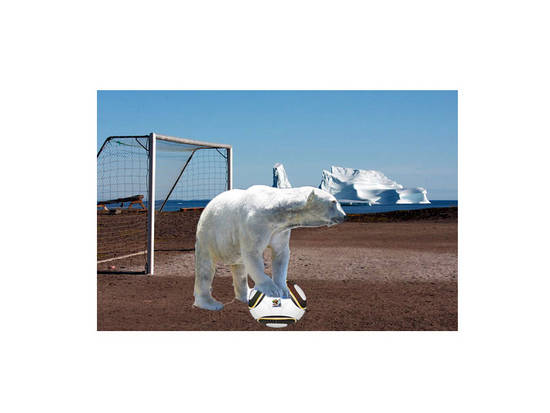 soccer bear 