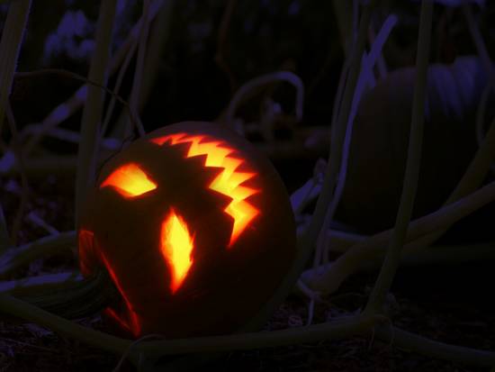 Jack-O-Lantern Farm