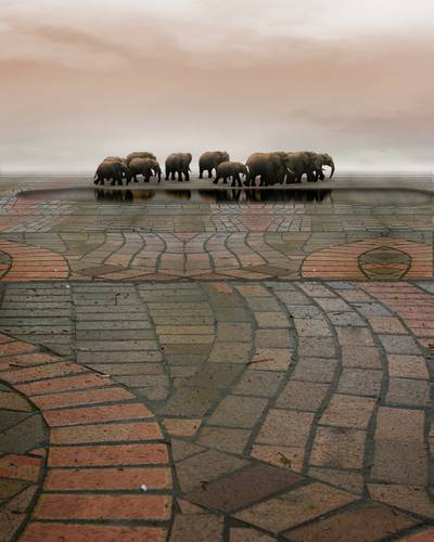 Elephant Walk