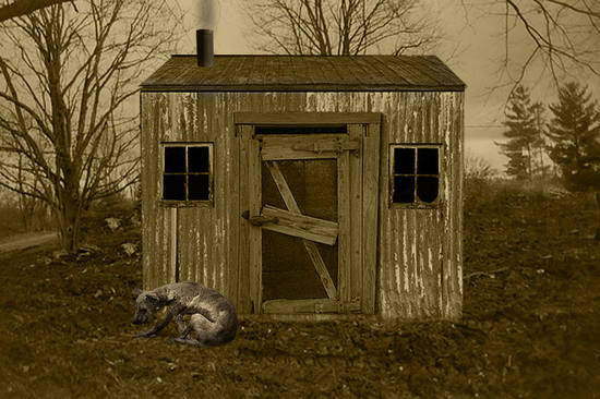 Moonshine shed