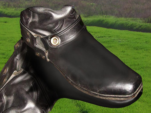 Horse Boot