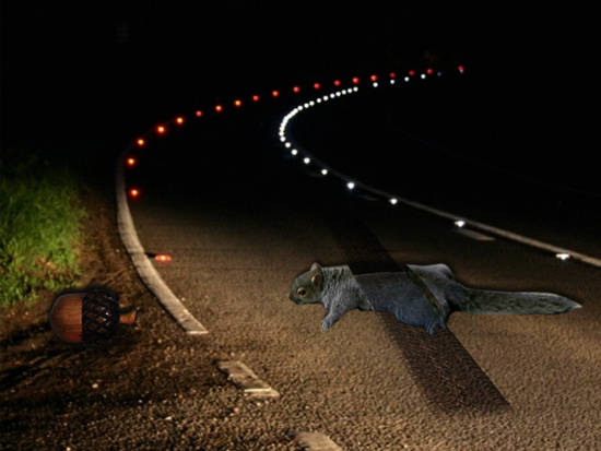 RoadKill