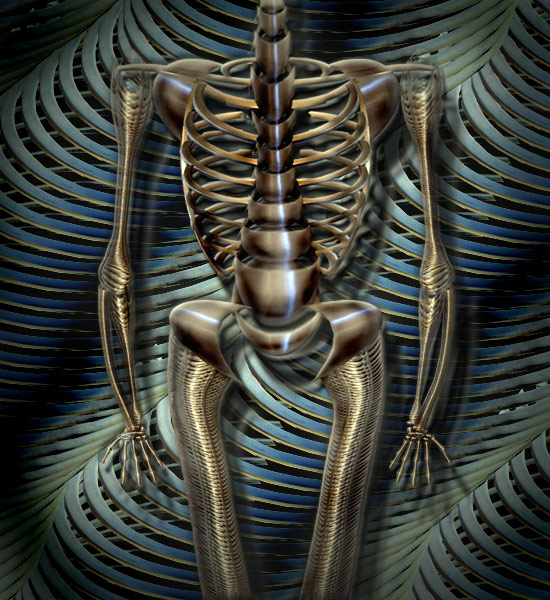 Skeleton