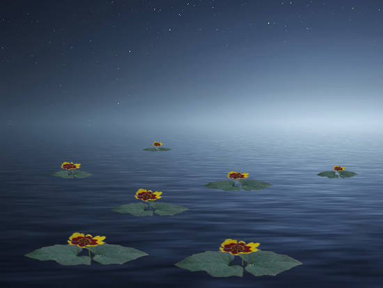 FLOATING FLOWERS