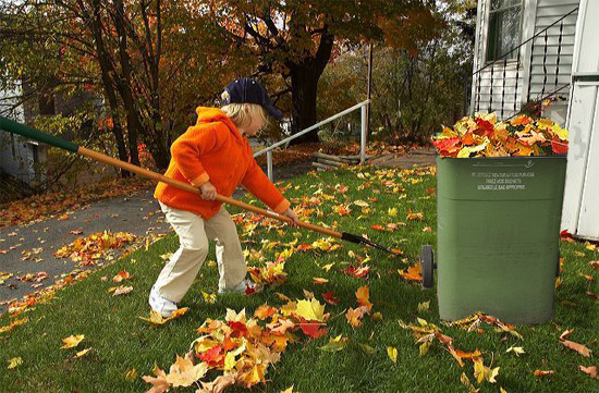 Raking Leaves