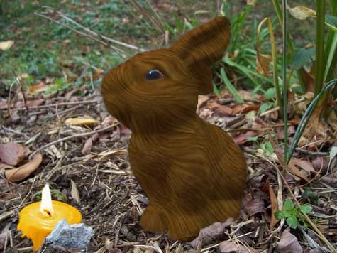 Wooden Bunny