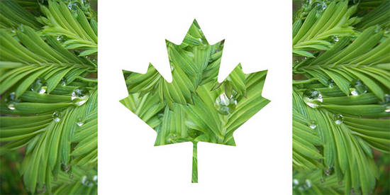 Flag of Canada