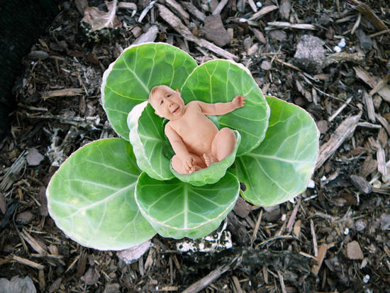 Cabbage Patch Kid