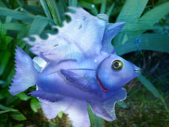  ~ Iris Fish ~